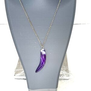 Genuine Raw Amethyst Stone Horn Necklace